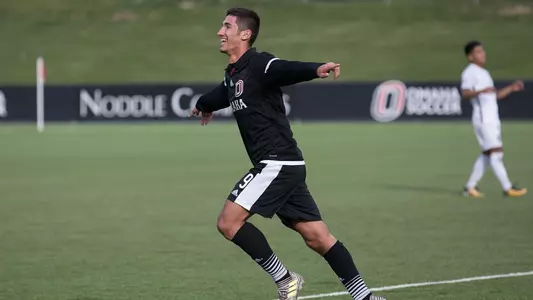 Elvir Ibisevic
