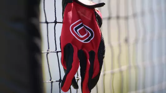 Batting glove