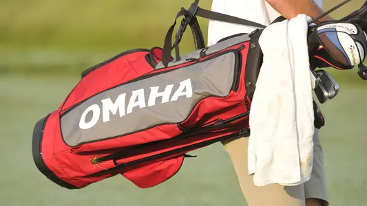 Men's golf bag