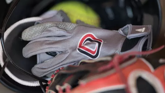 Glove