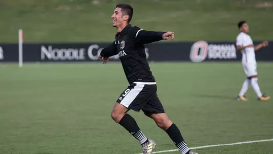 Elvir Ibisevic