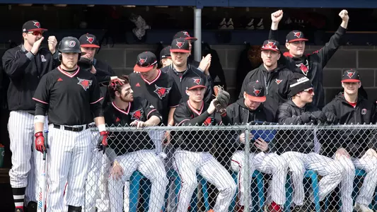 Baseball
