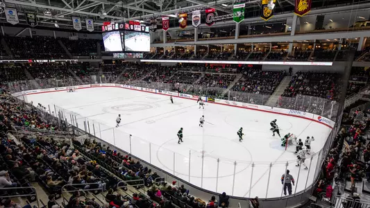UND crowd shot
