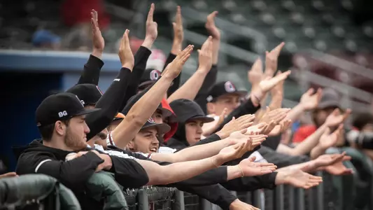 Baseball