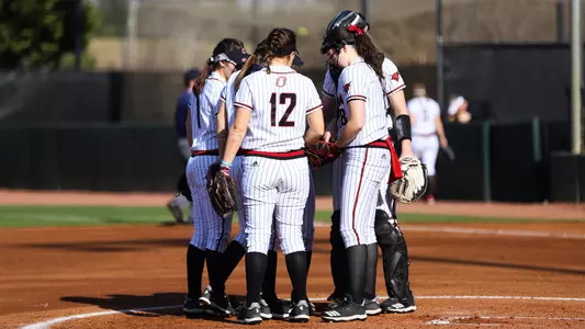 Softball Huddle