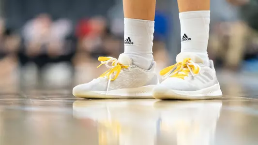 WBB Shoe