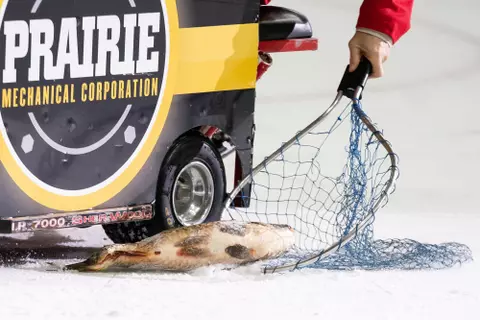 First Goal Fish