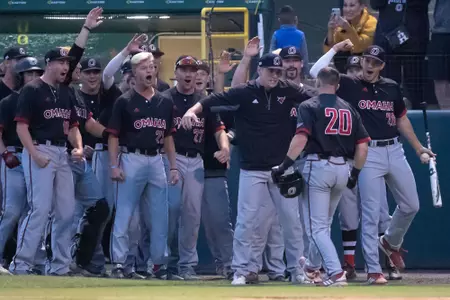 SN - Baseball team celebration