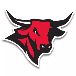 Omaha Bull