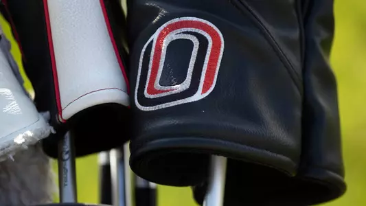 Golf club head cover