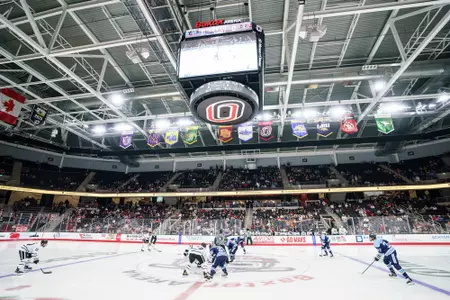 Arena vs. Maine