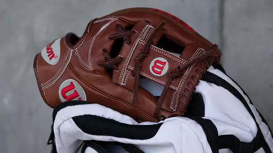 Baseball Glove