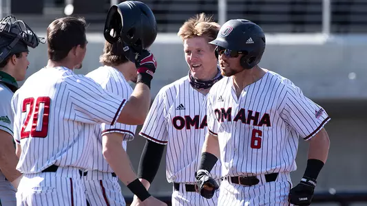 Baseball Celebration