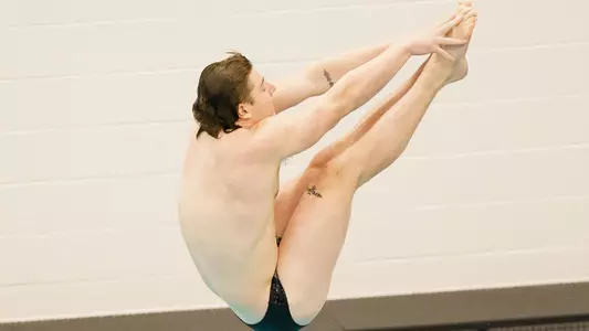 Men's Diving