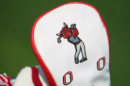 Golf bag