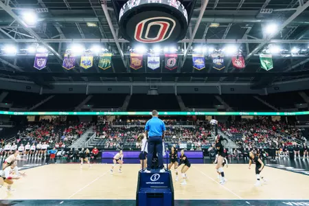 VB vs. USD