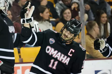 Sully in Duluth