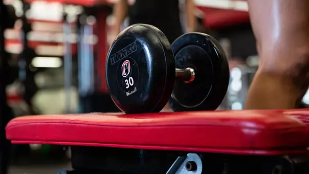 Weights