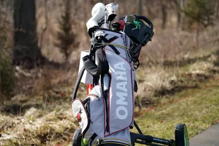 Golf bag