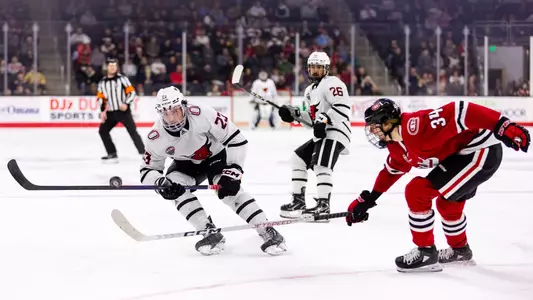 Mancini SCSU