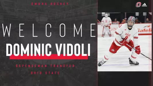 Dom Vidoli