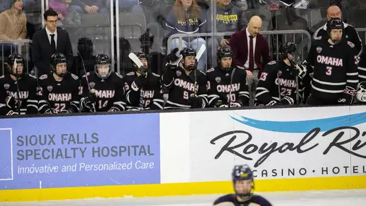 Hockey bench