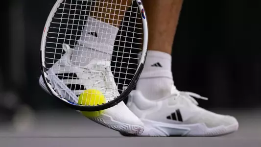 Tennis ball