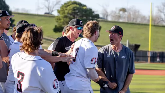 Baseball Celebration