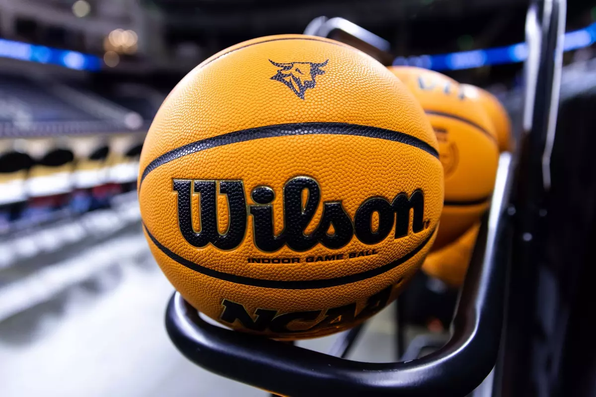 Generic basketball