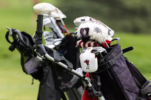Golf equipment