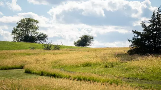 Mahoney Cross Country Course