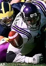 Michigan's Larry Foote<br>and Northwestern's Leon<br>Brockmeier pursue a<br>Damien Anderson fumble<br>during the first<br>quarter at Michigan<br>Stadium in Ann Arbor,<br>Mich., Saturday.