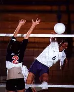 Jessica Holloway and the 'Cats<br>look to spike opponents in 1998.