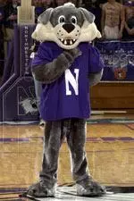 Follow the Wildcats here!