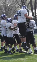 The Wildcats celebrate Demetrius Fields' (#8) 46-yard TD reception.