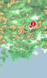 It rained on our Mardi Gras parade.