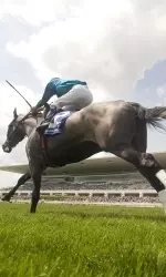 Arlington Park will host Northwestern Day on Sunday, June 2.
