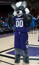 Fans can get their photo taken with Willie the Wildcat pregame.
