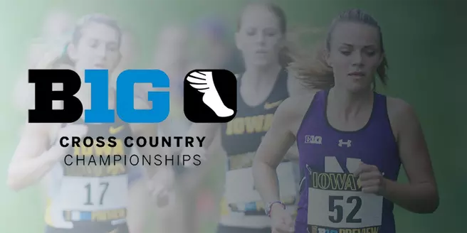 2015 Big Ten Cross Country Championships
