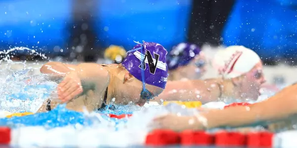 Stello Swimming