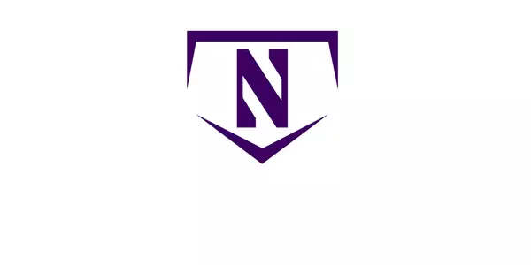 Generic Baseball Logo