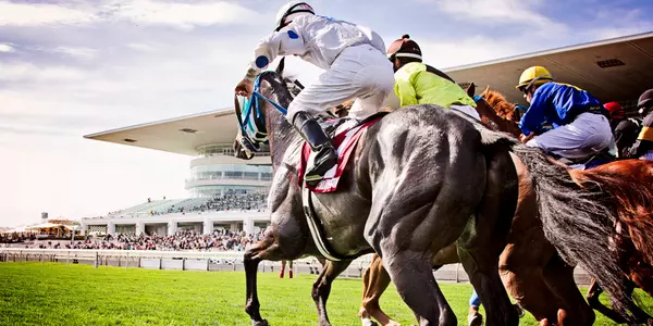 Arlington International Racecourse Horse 2016 Northwestern Day