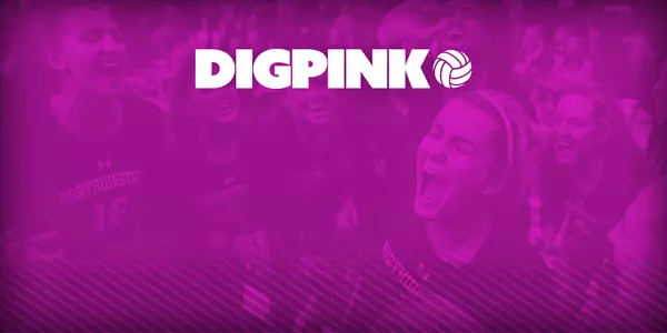 Dig Pink