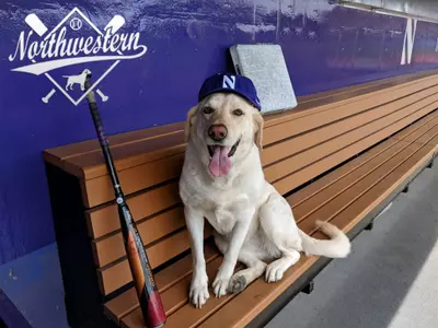 Bark at the Park 2018