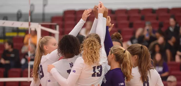 Volleyball Celebration