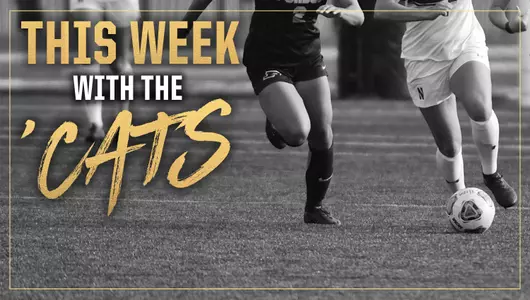 This Week: August 26
