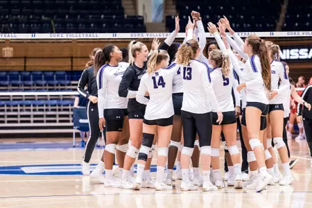 vb duke huddle