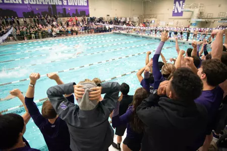 swim fans