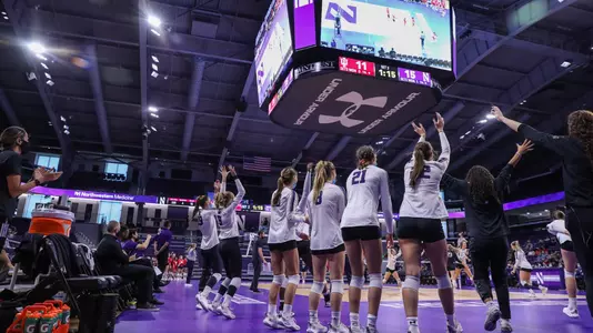 cats win VB