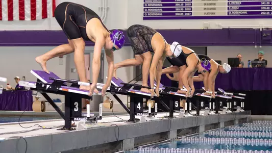 Swim and Dive Purple and White Intrasquad